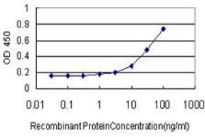 Detection limit for recombinant GST tagged TRIP13 is approximately 1ng/ml as a capture antibody. (TRIP13 抗体  (AA 1-432))