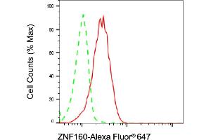 Flow cytometric analysis of ZNF160 expression in HT- cells using ZNF160 antibody (ABIN7800893), 1:2,000). (Recombinant ZNF160 抗体)
