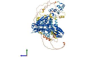 Protein Structure (PS) image for 3-Hydroxy-3-Methylglutaryl-CoA Reductase (HMGCR) (AA 1-887) protein (His tag) (ABIN7563576)