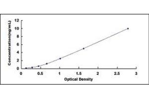 Typical standard curve (MYBPC1 ELISA 试剂盒)