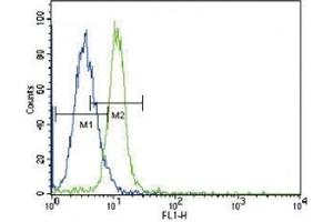 JAK2 antibody flow cytometric analysis of K562 cells (green) compared to a negative control (blue). (JAK2 抗体  (AA 1101-1132))