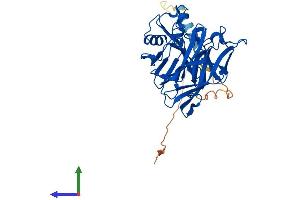 Protein Structure (PS) image for Calcium Activated Nucleotidase 1 (CANT1) (AA 1-403) protein (His tag) (ABIN7559815)