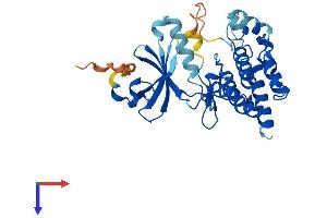 NEK7 Protein (NEK7) (AA 1-302) (His tag)