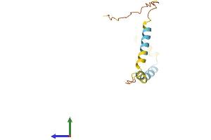 Protein Structure (PS) image for Organic Solute Transporter beta (OSTBETA) (AA 1-128) protein (His tag) (ABIN7558393)