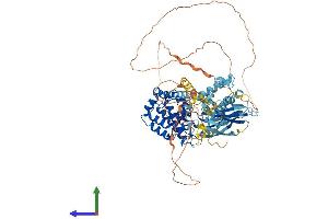 Protein Structure (PS) image for Mitogen-Activated Protein Kinase Kinase Kinase MLT (ZAK) (AA 1-800) protein (His tag) (ABIN7554596)