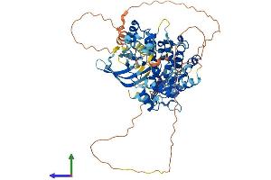 AlphaFold protein structure predicition of Human Recombinant TNK1 Protein, UniprotID Q13470