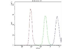 Flow Cytometry analysis of SiHa cells using anti-PPT1 antibody (ABIN3043357). (PPT1 抗体  (C-Term))