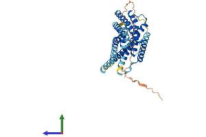 Protein Structure (PS) image for G Protein-Coupled Receptor 34 (GPR34) (AA 1-381) protein (His tag) (ABIN7548175)