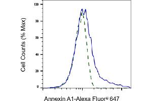 Validation of Annexin A1 knockdown using flow cytometry. (Annexin a1 抗体)