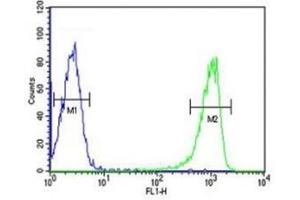 Flow Cytometry (FACS) image for anti-Tumor Necrosis Factor (Ligand) Superfamily, Member 11 (TNFSF11) (AA 1-30) antibody (ABIN3029354)