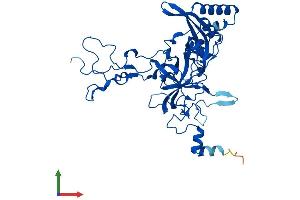 Protein Structure (PS) image for Ribosomal Protein L3-Like (RPL3L) (AA 1-407) protein (His tag) (ABIN7551463)