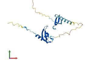 Protein Structure (PS) image for Chromobox Homolog 1 (CBX1) (AA 1-185) protein (His tag) (ABIN7556757)
