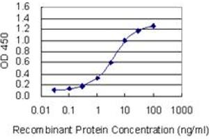 Detection limit for recombinant GST tagged OTUD6B is 0. (OTUD6B 抗体  (AA 1-293))