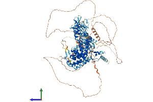 Protein Structure (PS) image for Pleckstrin Homology Domain Containing, Family M (With RUN Domain) Member 1 (PLEKHM1) (AA 1-1074) protein (His tag) (ABIN7564216)