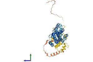 Protein Structure (PS) image for Rhomboid, Veinlet-Like 1 (RHBDL1) (AA 1-438) protein (His tag) (ABIN7551308)
