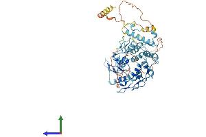 Protein Structure (PS) image for Zinc Finger Protein 480 (ZNF480) (AA 1-535) protein (His tag) (ABIN7545556)