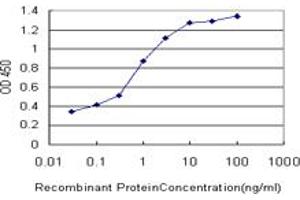 Detection limit for recombinant GST tagged PALM is approximately 0. (Paralemmin 抗体  (AA 176-284))