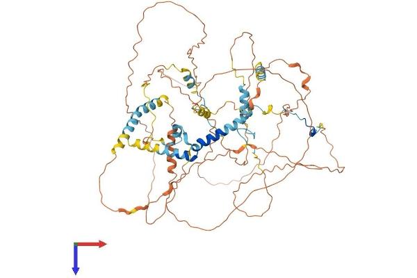 PPP1R15B Protein (AA 1-697) (His tag)