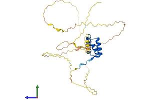 Protein Structure (PS) image for Mesenchyme Homeobox 2 (MEOX2) (AA 1-303) protein (His tag) (ABIN7563136)