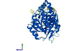 Protein Structure (PS) image for Mevalonate Kinase (MVK) (AA 1-395) protein (His tag) (ABIN7556178)