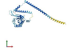 Protein Structure (PS) image for Proteasome (Prosome, Macropain) 26S Subunit, Non-ATPase, 7 (PSMD7) (AA 1-321) protein (His tag) (ABIN7563019)