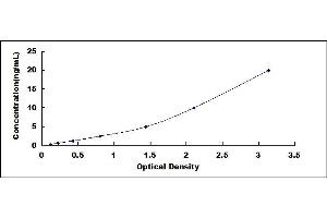 Typical standard curve (TYK2 ELISA 试剂盒)