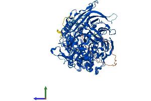 Protein Structure (PS) image for Dipeptidyl-Peptidase 8 (DPP8) (AA 1-892) protein (His tag) (ABIN7564296)