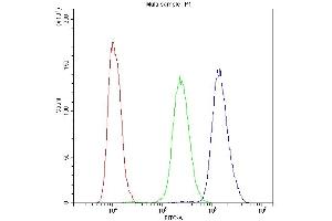 Flow Cytometry analysis of Hela cells using anti-PDE4D antibody (ABIN5693278).