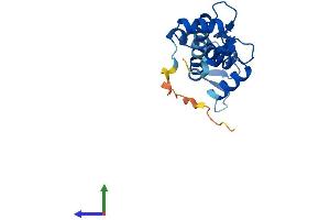 Protein Structure (PS) image for Centrin, EF-Hand Protein, 1 (CETN1) (AA 1-172) protein (His tag) (ABIN7563229)
