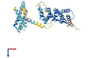 AlphaFold protein structure predicition of Human Recombinant FANCF Protein, UniprotID Q9NPI8