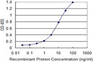 Detection limit for recombinant GST tagged BCL2L10 is 0. (BCL2L10 抗体  (AA 1-92))