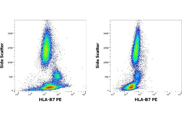 HLA B7 抗体  (PE)