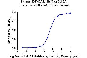ELISA image for Butyrophilin, Subfamily 3, Member A1 (BTN3A1) (AA 30-254) protein (His tag) (ABIN7274004)