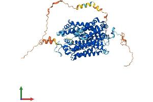 Protein Structure (PS) image for Glycine Transporter 1 (GLYT1) (AA 1-692) protein (His tag) (ABIN7563050)