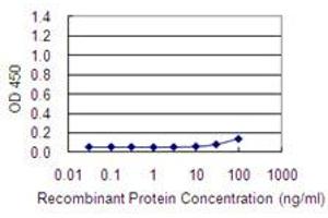 Detection limit for recombinant GST tagged ACTR3 is 10 ng/ml as a capture antibody. (ACTR3 抗体  (AA 1-418))