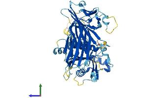 Protein Structure (PS) image for Adaptor-Related Protein Complex 5, mu 1 Subunit (AP5M1) (AA 1-490) protein (His tag) (ABIN7552295)