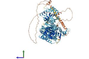 Protein Structure (PS) image for ATPase, Ca++ Transporting, Plasma Membrane 2 (ATP2B2) (AA 1-1198) protein (His tag) (ABIN7565176)
