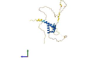 Protein Structure (PS) image for Homeobox A5 (HOXA5) (AA 1-270) protein (His tag) (ABIN7548394)