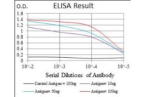 Fig. (CD15 抗体  (AA 199-302))