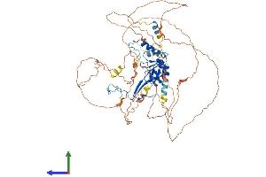 AlphaFold protein structure predicition of Mouse Recombinant Dbf4 Protein, UniprotID Q9QZ41