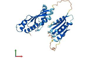AlphaFold protein structure predicition of Human Recombinant RWDD2A Protein, UniprotID Q9UIY3
