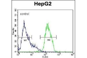 PK1 Antibody (Center) (ABIN391367 and ABIN2841384) flow cytometric analysis of HepG2 cells (right histogram) compared to a negative control cell (left histogram). (ERK2 抗体  (AA 154-183))