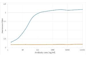 ELISA image for anti-V-type immunoglobulin domain-containing suppressor of T-cell activation (VISTA) antibody (ABIN7072464)