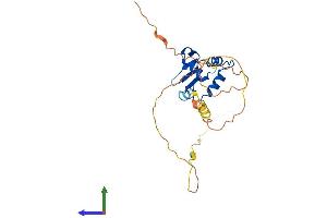 Protein Structure (PS) image for FEV (ETS Oncogene Family) (FEV) (AA 1-238) protein (His tag) (ABIN7547606)