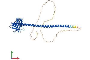 AlphaFold protein structure predicition of Human Recombinant XRCC4 Protein, UniprotID Q13426