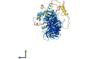 AlphaFold protein structure predicition of Human Recombinant FERMT2 Protein, UniprotID Q96AC1