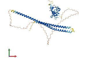 AlphaFold protein structure predicition of Mouse Recombinant Spata1 Protein, UniprotID Q9D5R4 (SPATA1 Protein (AA 1-444) (His tag))
