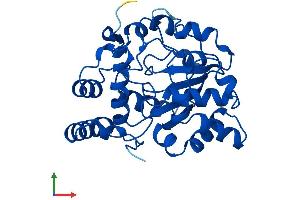 Protein Structure (PS) image for Sulfotransferase Family, Cytosolic, 1A, Phenol-Preferring, Member 1 (SULT1A1) (AA 1-291) protein (His tag) (ABIN7563421)