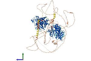 Protein Structure (PS) image for Protein tyrosine Phosphatase, Non-Receptor Type 14 (PTPN14) (AA 1-1187) protein (His tag) (ABIN7555093)