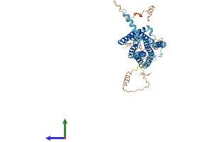 AlphaFold protein structure predicition of Mouse Recombinant Gpr22 Protein, UniprotID Q8BZL4